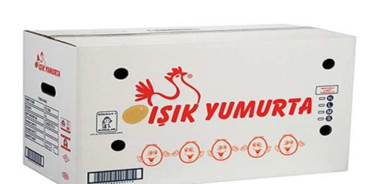 Işık Yumurta