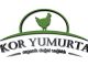 Kor Yumurta