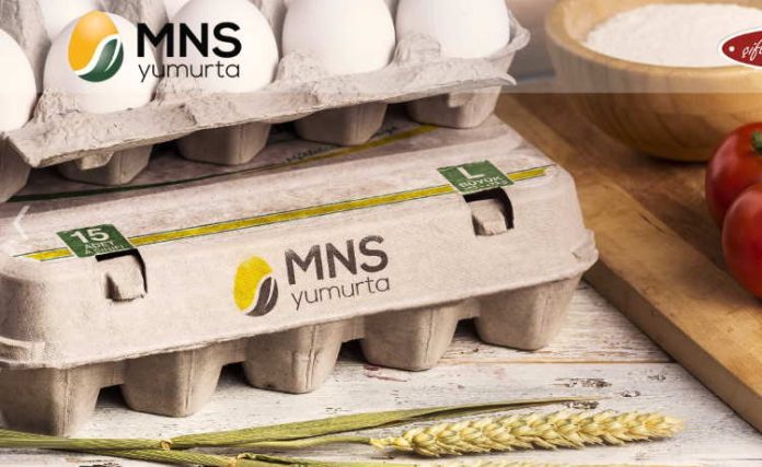 mns-yumurta